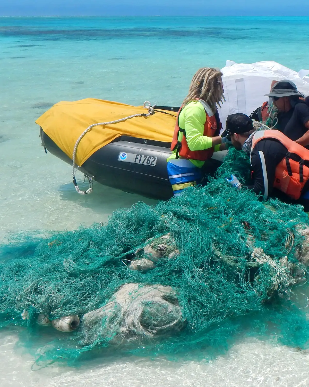 A crew in life jackets hauling a large mass of green fishing net from shallow turquoise water into an inflatable boat