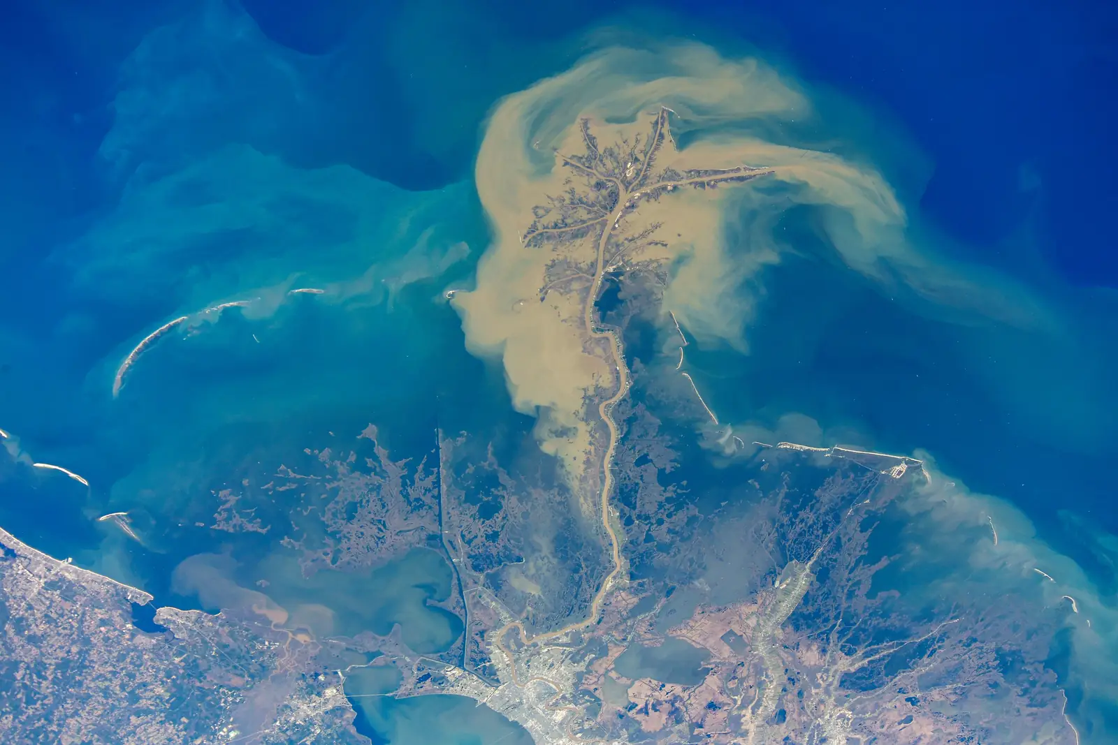 The Mississippi River delta seen from space, with brown sediment plumes spreading into the Gulf of Mexico