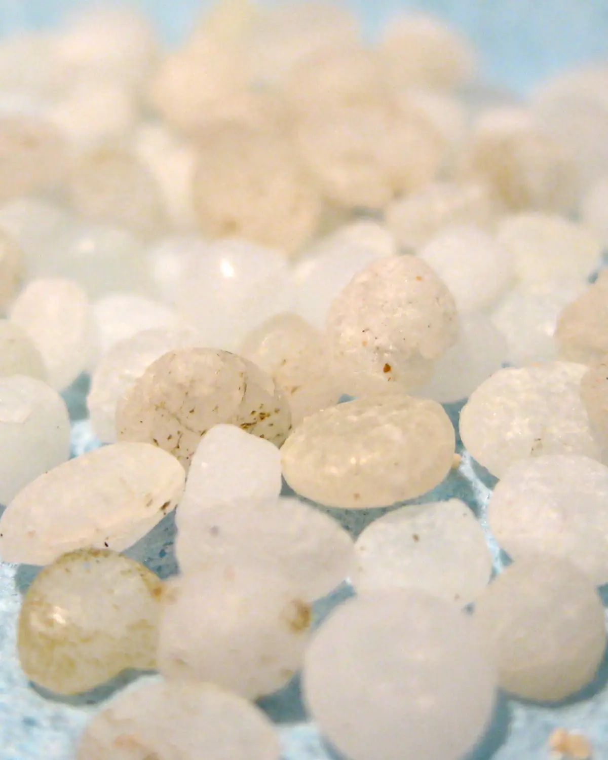 A close-up of small, round, translucent white plastic pellets heaped together
